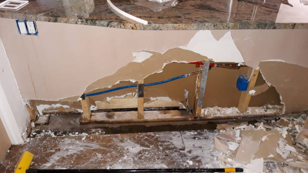 Best Sewage cleanup and water damage restoration  in Aspen, CO