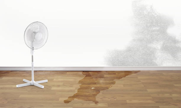 Fire Damage Restoration in CO