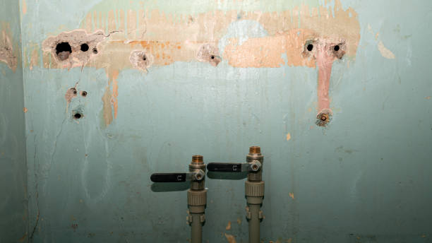 Best Local water damage restoration  in Aspen, CO
