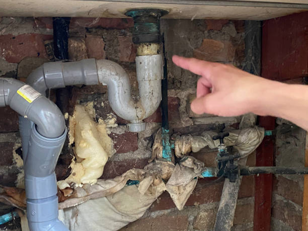 Best Commercial water damage restoration  in Aspen, CO