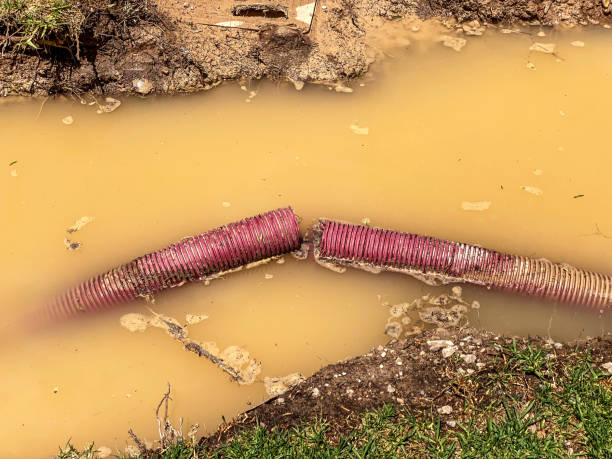 Local water damage restoration in CO